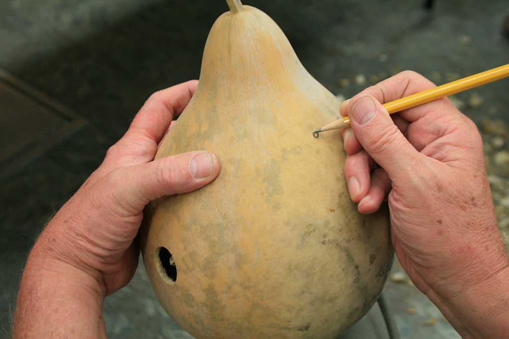 Creating a Gourd Birdhouse